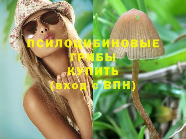 Альфа ПВП Волосово