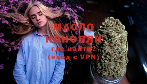 молекула духа Бородино