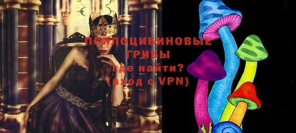 молекула духа Бородино